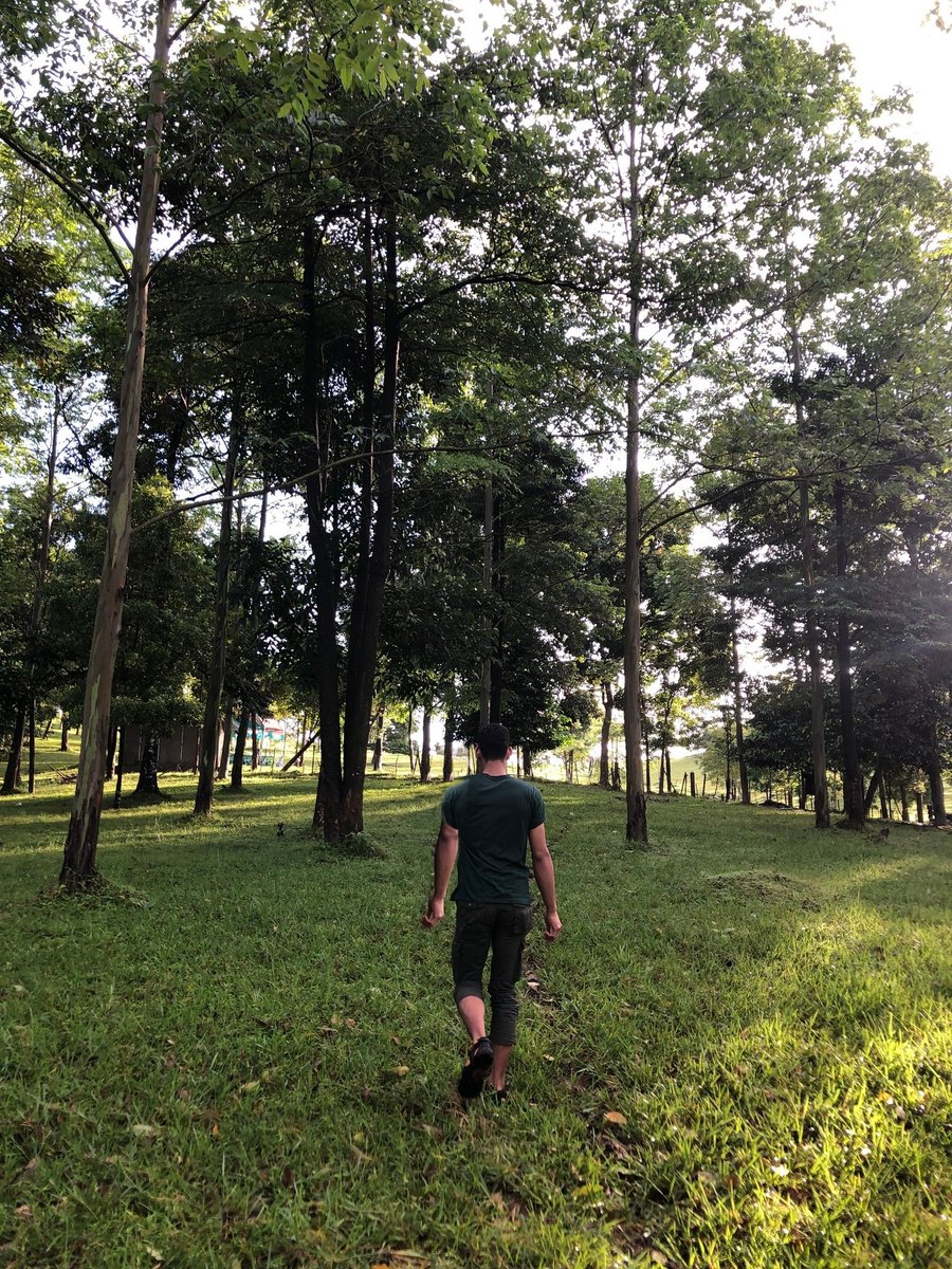 𝐆𝐚𝐥 tweet media