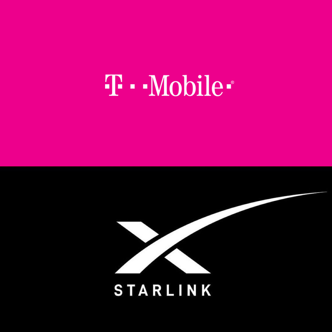 DogeDesigner tweet media