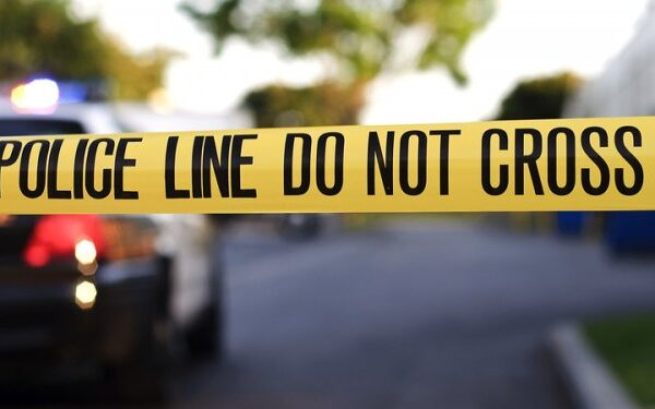 Jim Geraghty tweet media