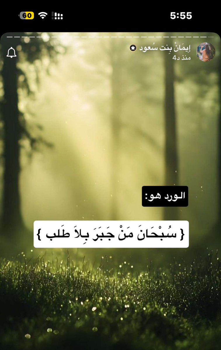 النـ🌞ــور ₙₒₒᵣ🪄 tweet media