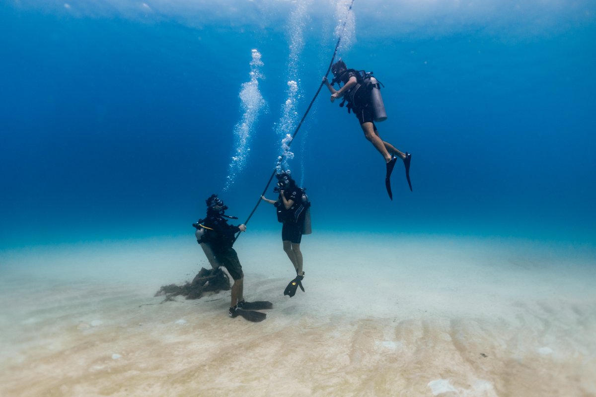 blackturtledive's tweet image. All our Discover Scuba experiences are conducted with a maximum of 2 students per PADI Instructor. Our Instructors are highly trained and experienced to ensure you receive lots of attention. blackturtledive.com/experience-pro… #DSD #Experience #DiscoverScuba #KohTao #Thailand