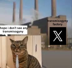 0live 🇵🇸🇸🇩🇨🇺 ⚢ 🐇🐈🦌 tweet media