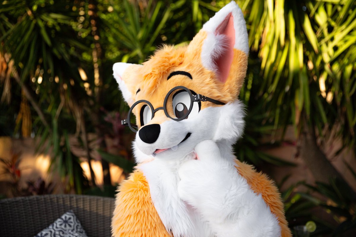 ˗ˏˋ PawFessor Yapsᶠᵒˣ ˊˎ˗ ➡️ BlueSky tweet media