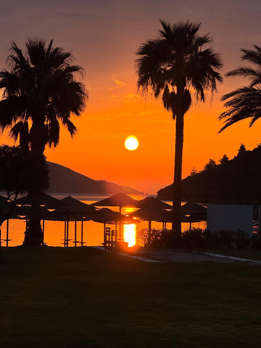 RIINSHAAN tweet media