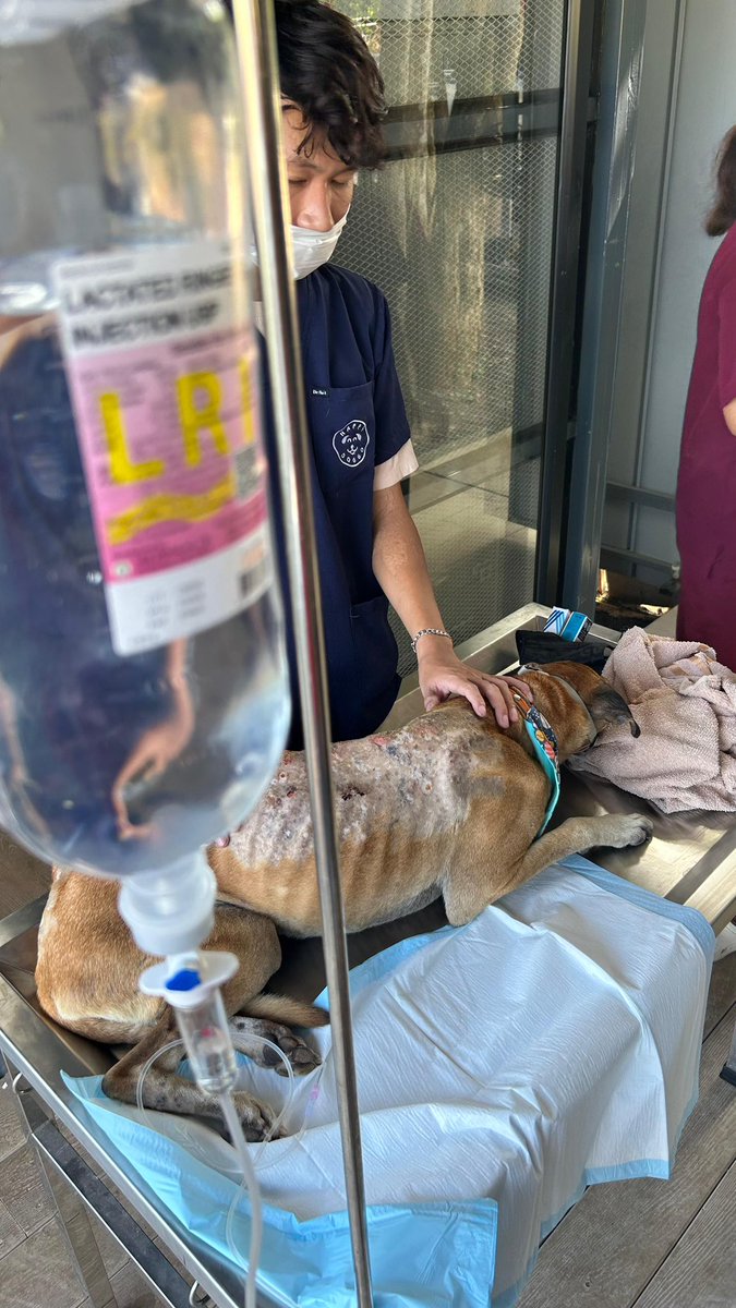 Niall Harbison tweet media