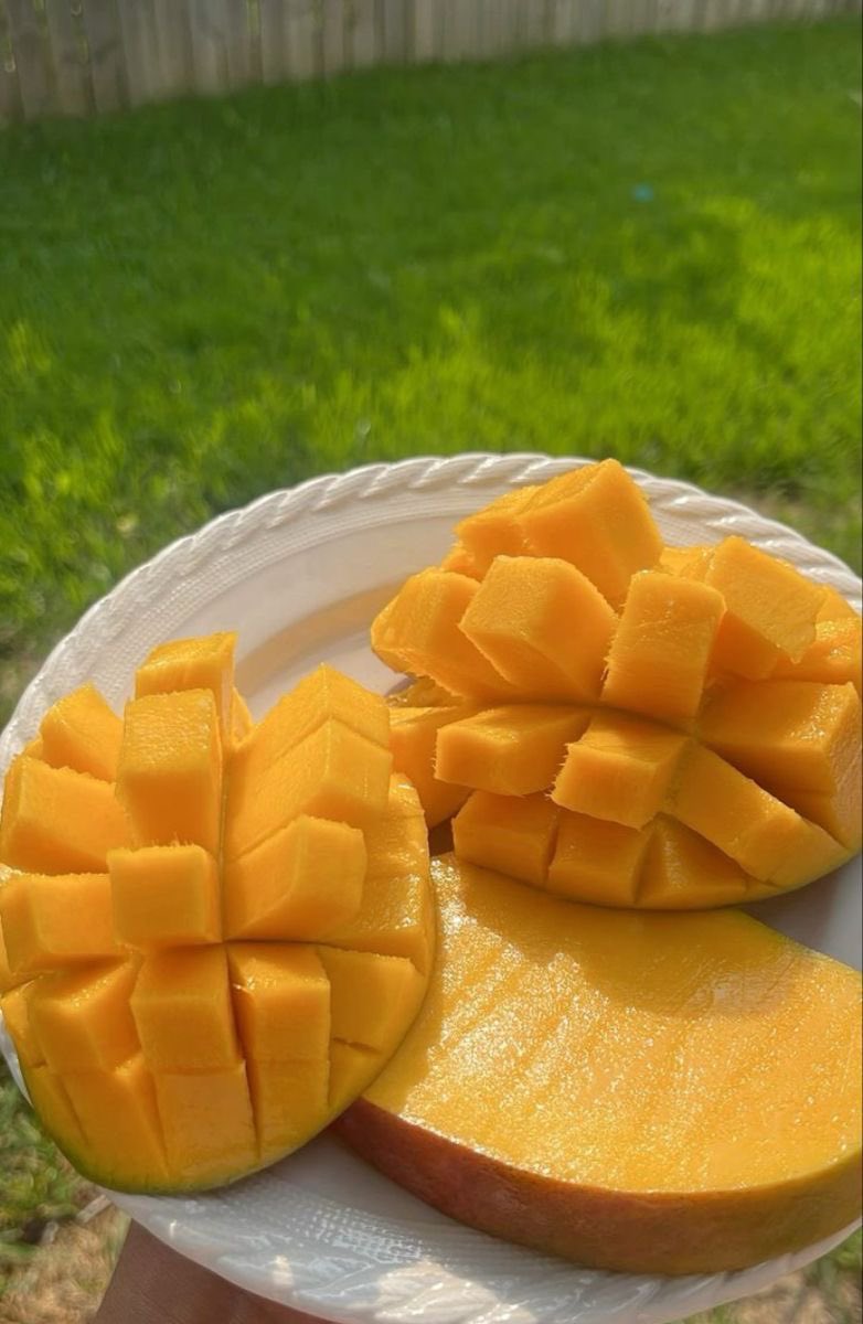 ‏قشطهَ tweet media
