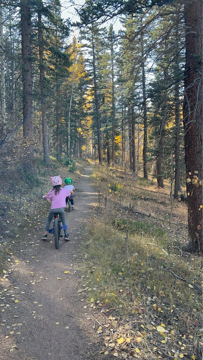 HighCountryJNL's tweet image. Me: “Stay on the trail!”
    Them: immediately inventing new paths. 🌲    These helmets protect heads, not decisions. 🤦‍♀️
    #SafetyFirst #ButAlso #KidLogic #BikeKids #TrailAdventures #Explorers #TrailRules #NatureKids #Letthembelittle #AdventureTime