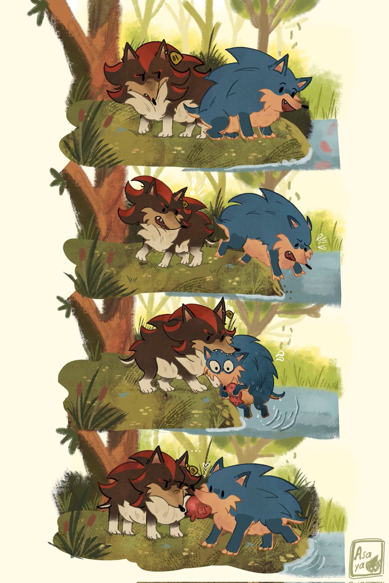 asaya430's tweet image. Sonic wanted a fish… it didn’t go well.

[#ShadowTheHedgehog #Sonic #sonadow #Shadonic #wildhogAU]
