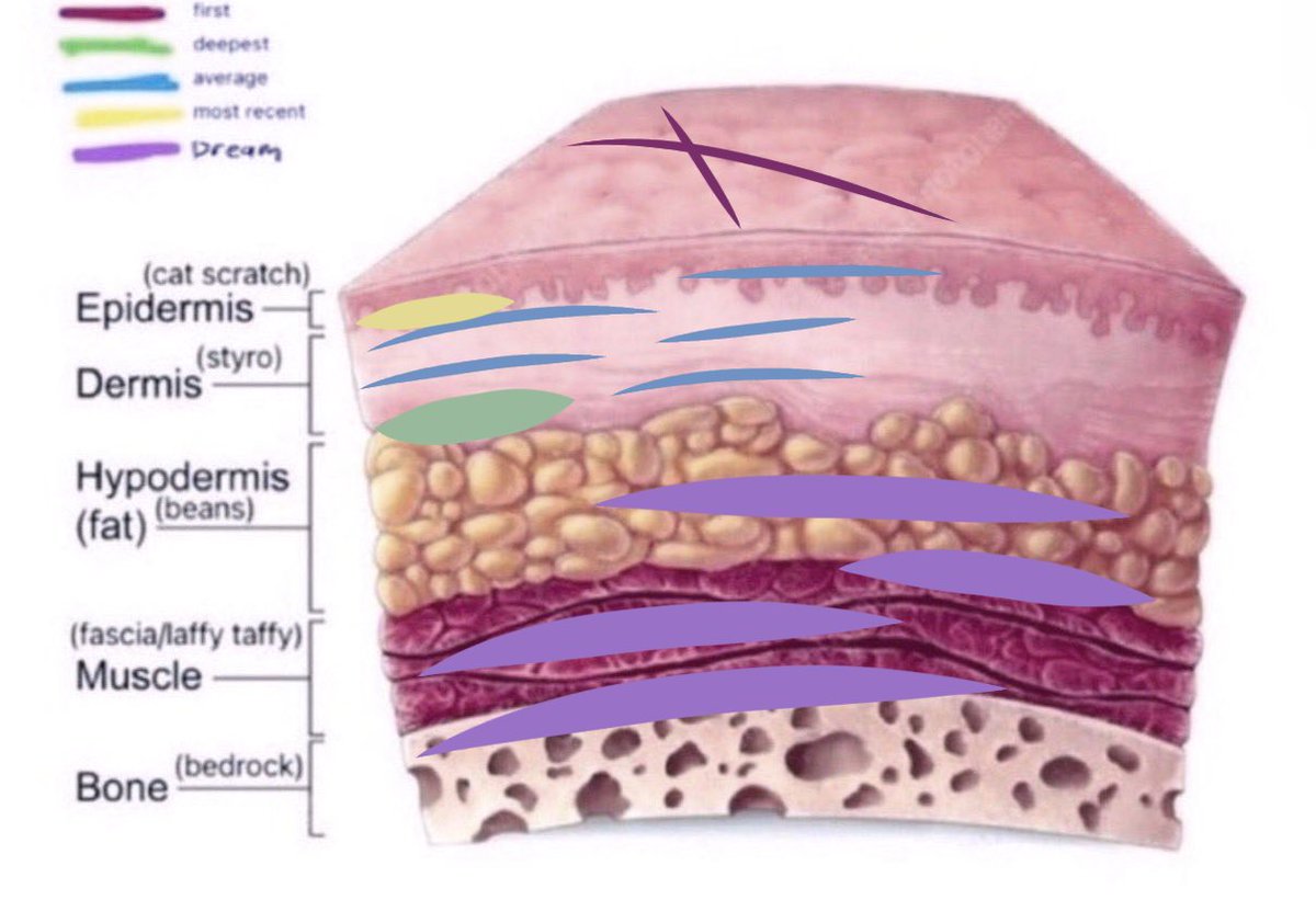 CaddisCut's tweet image. #shtwt #slitwt #cut #sh #cutting #selfharm #selfharmtwt ★彡