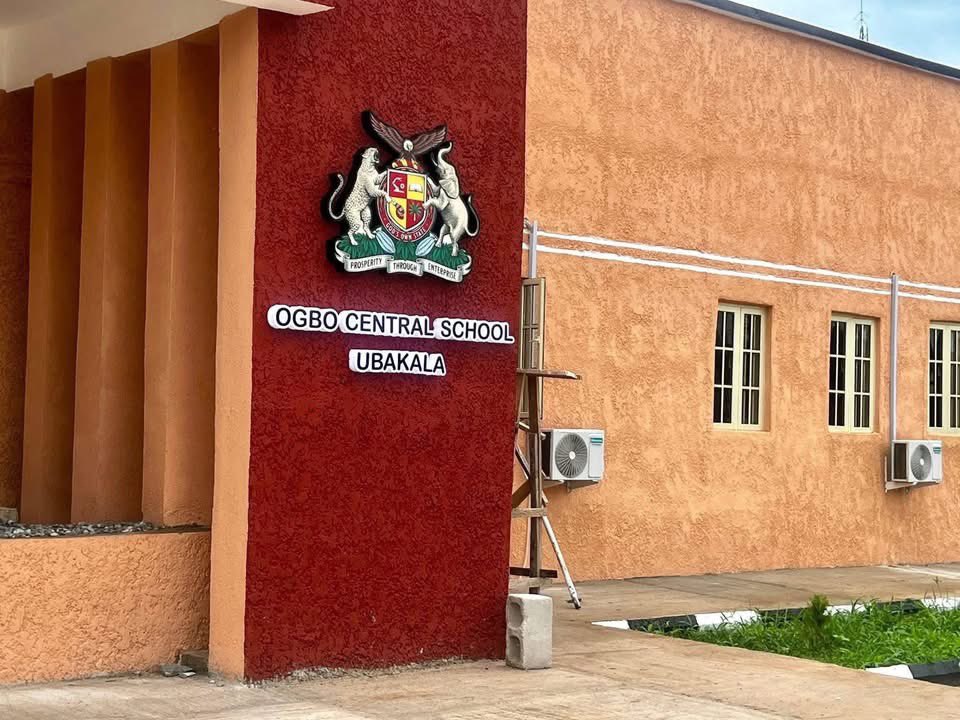 Vivian Ifeoma tweet media