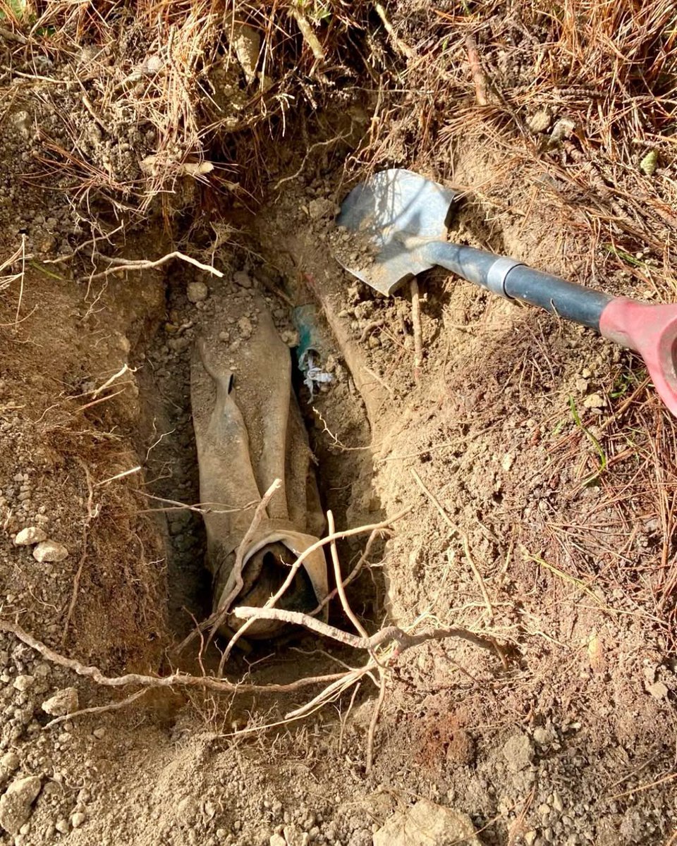 Crime Net tweet media