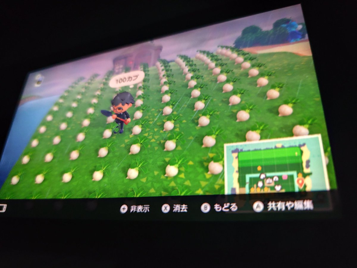 みん tweet media