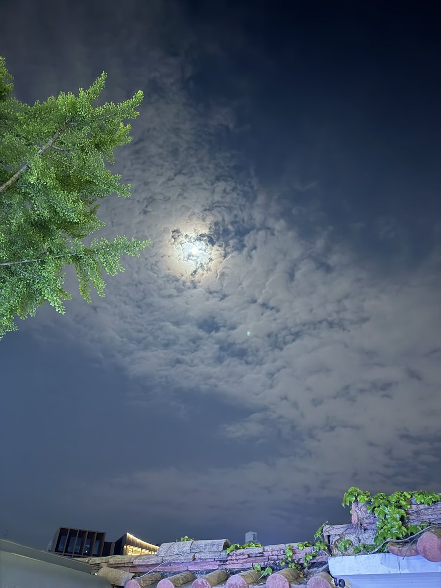 방탄 없는 서울 
노을도 예쁘고....
달도 예쁘다...

오늘도 행복해라 
내 소년단아