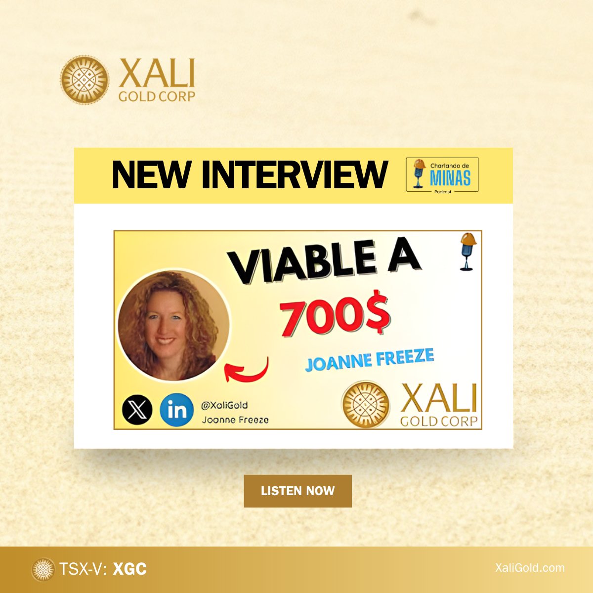 Xali Gold Corp (TSXV: $XGC.V, OTCQB: $CGDXF) tweet media