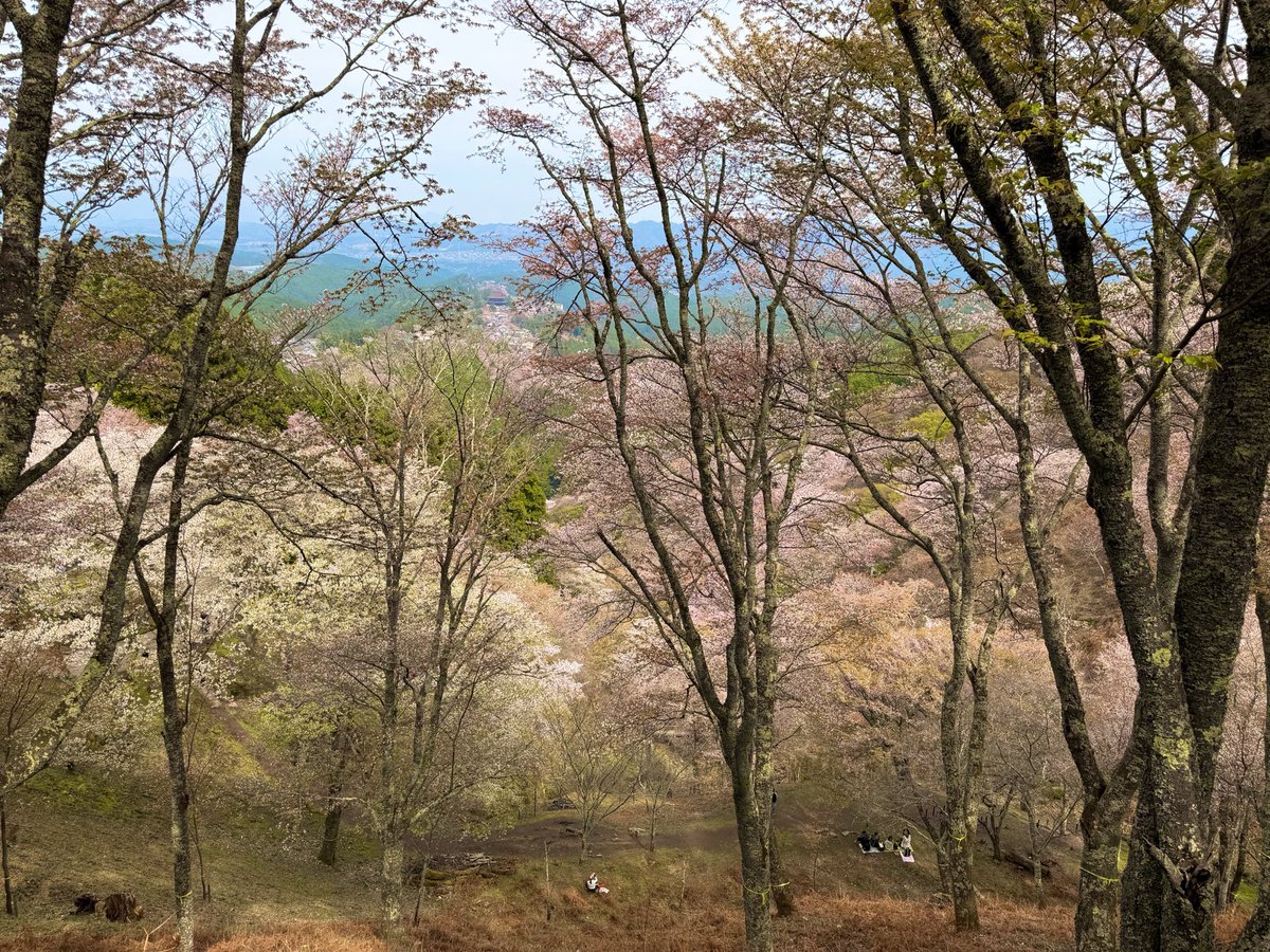 文化に関わっておりますので、素直な感想を発信します。

「多文化共生」という《他文化強制》はもう沢山。でございます。

花も虫も魚も、共生が成り立たないものがあるのは誰でもわかることでございましょう。

「ヒアリを水際で食い止めろ」なんてニュースでやってるくらいです。