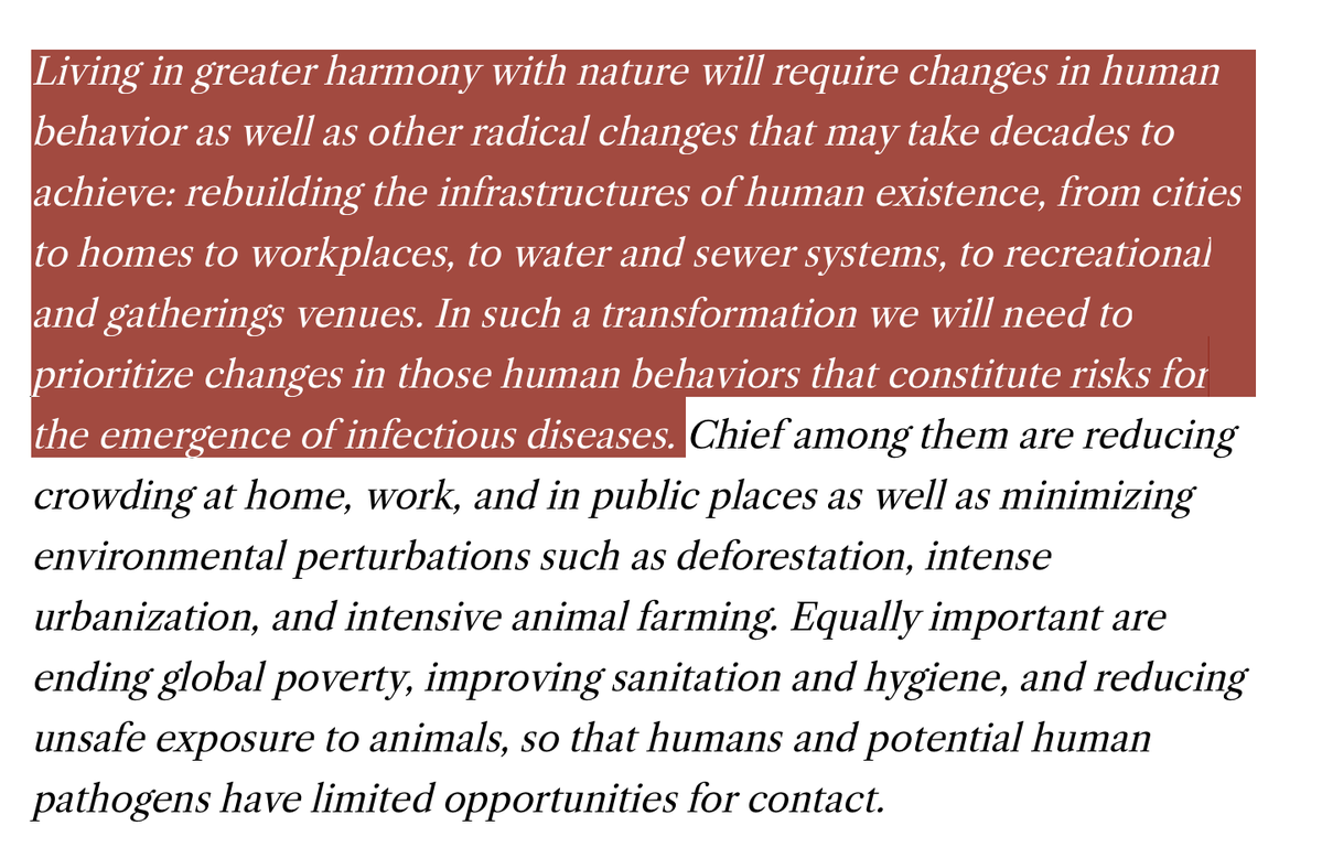 Jeffrey A Tucker tweet media