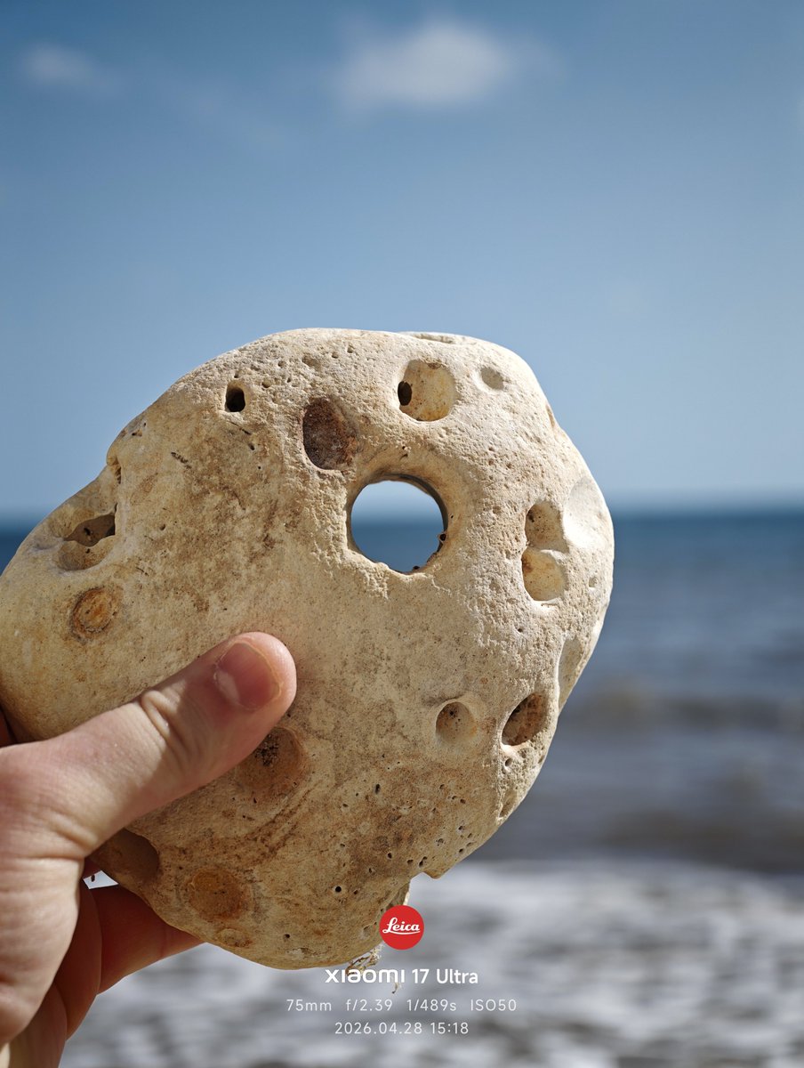 rick00357876097's tweet image. Shot on #Xiaomi17Ultra 
#ShotOnSnapdragon getting creative with a rock 👌