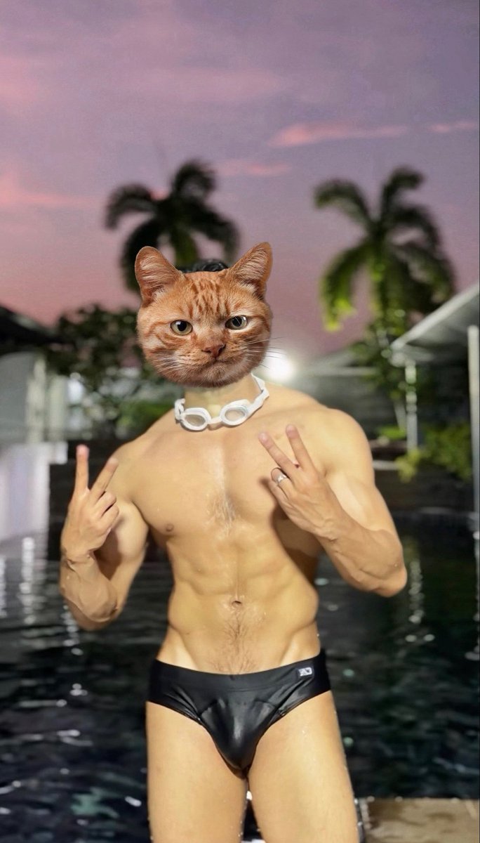 แมวส้ม 😼 tweet media