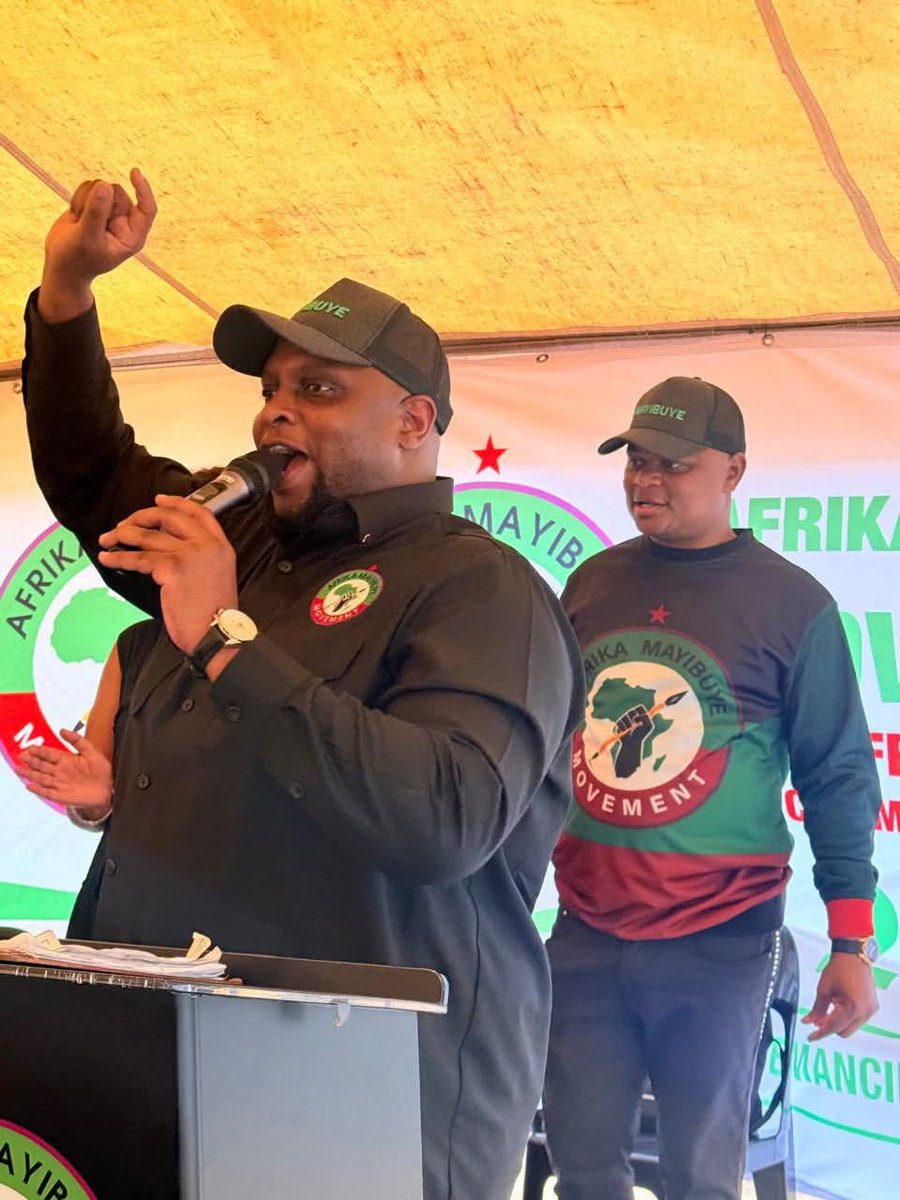 Mickey Navigator Nzweni tweet media