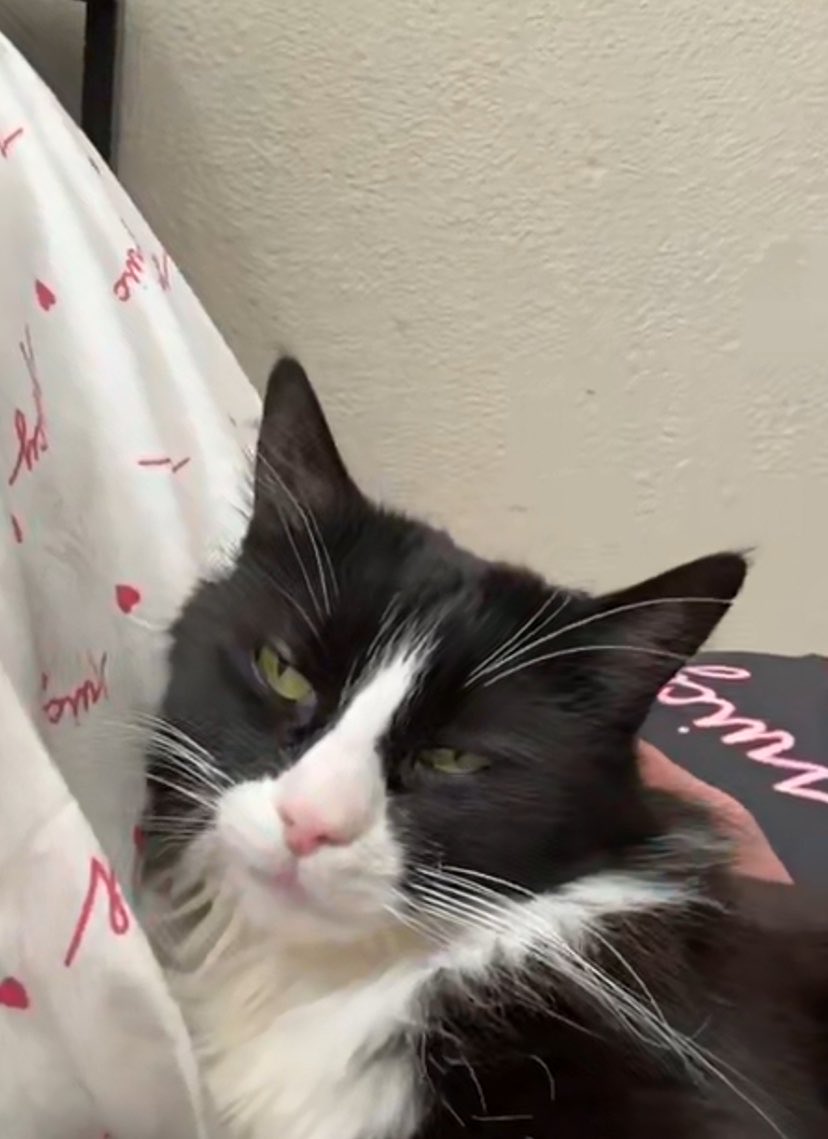 mp3auds's tweet image. ☆ | audrey rose ╭ 
❝ ig: mp3.auds ❞  ✧  ┊♡ ‧₊˚ ☆  22yrs | 
☉ gemini ☾ sag ↑ sag | edm lover 
vegetarian ✩°｡ | looking for twt friends
⊹᪥✰ #moothunt〃・