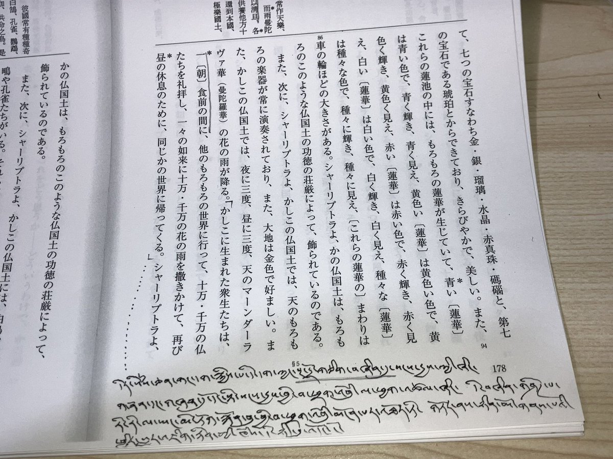 だれぱんだ tweet media
