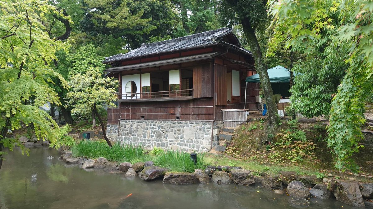 横地浩紀.com tweet media
