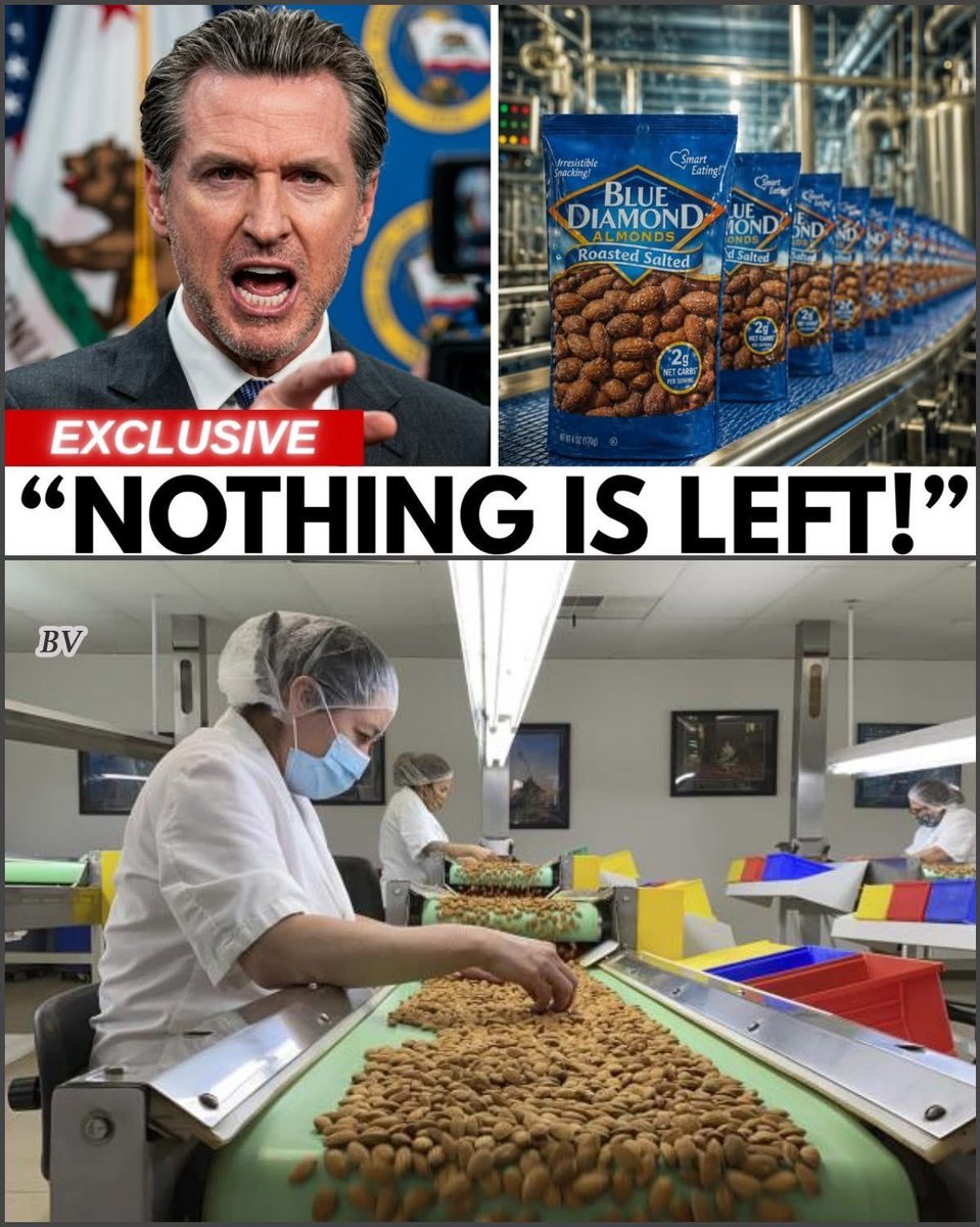 Paul White Gold Eagle tweet media