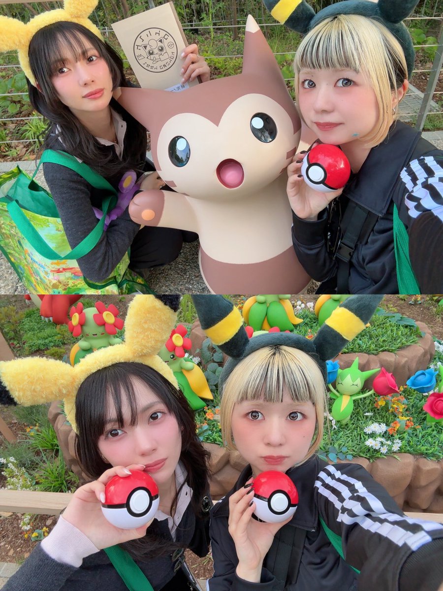 フジカナ🐼 tweet media