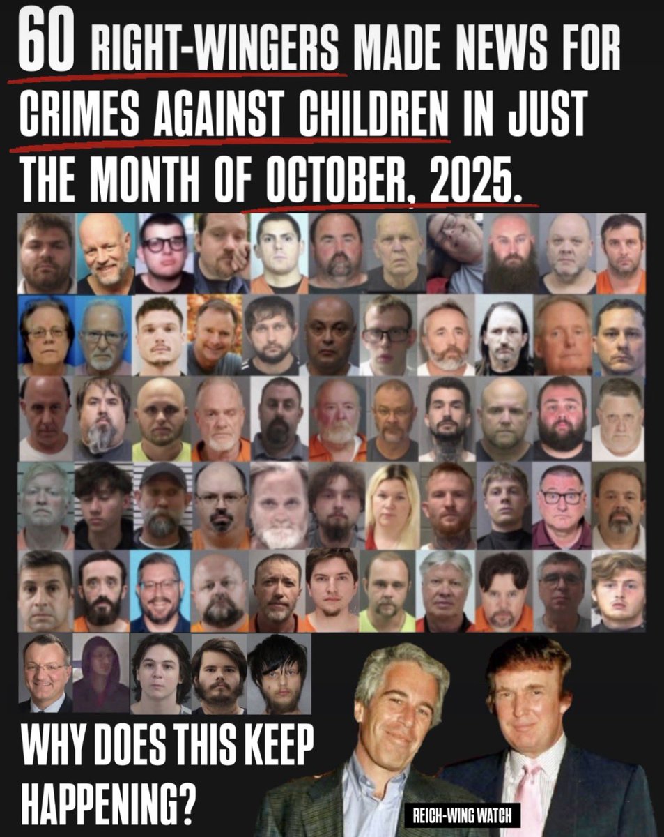 Reich-Wing Watch tweet media