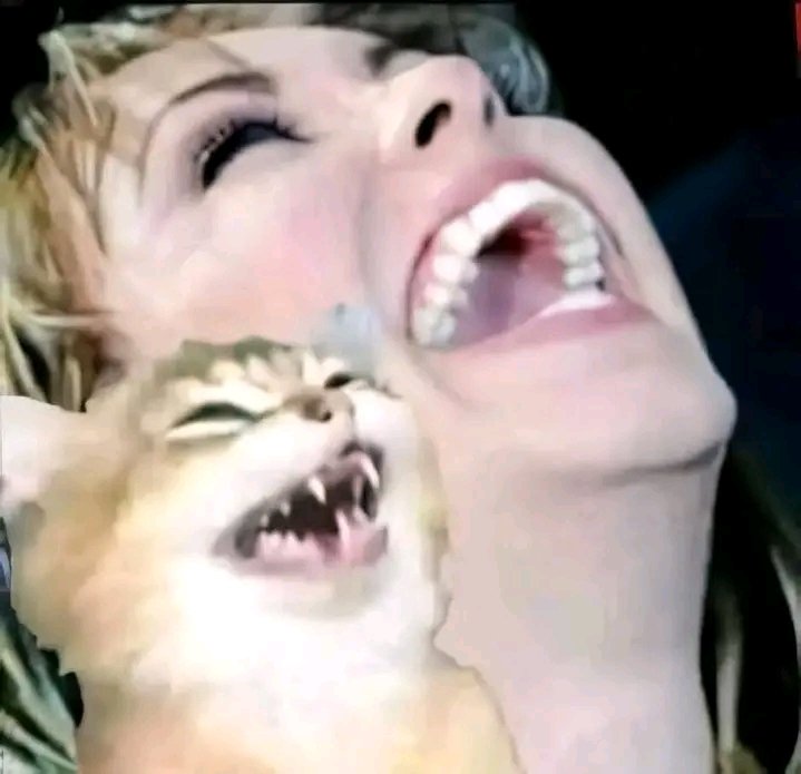 AlbakariEth's tweet image. He has the power to accept or denied
 #WTF