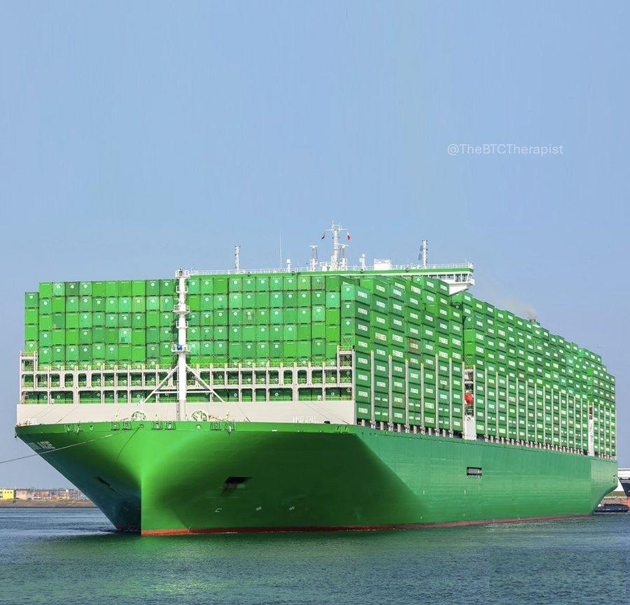 Lil Toro tweet media