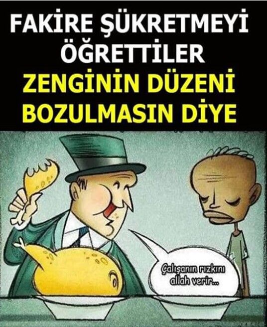 yorgun demokrat tweet media