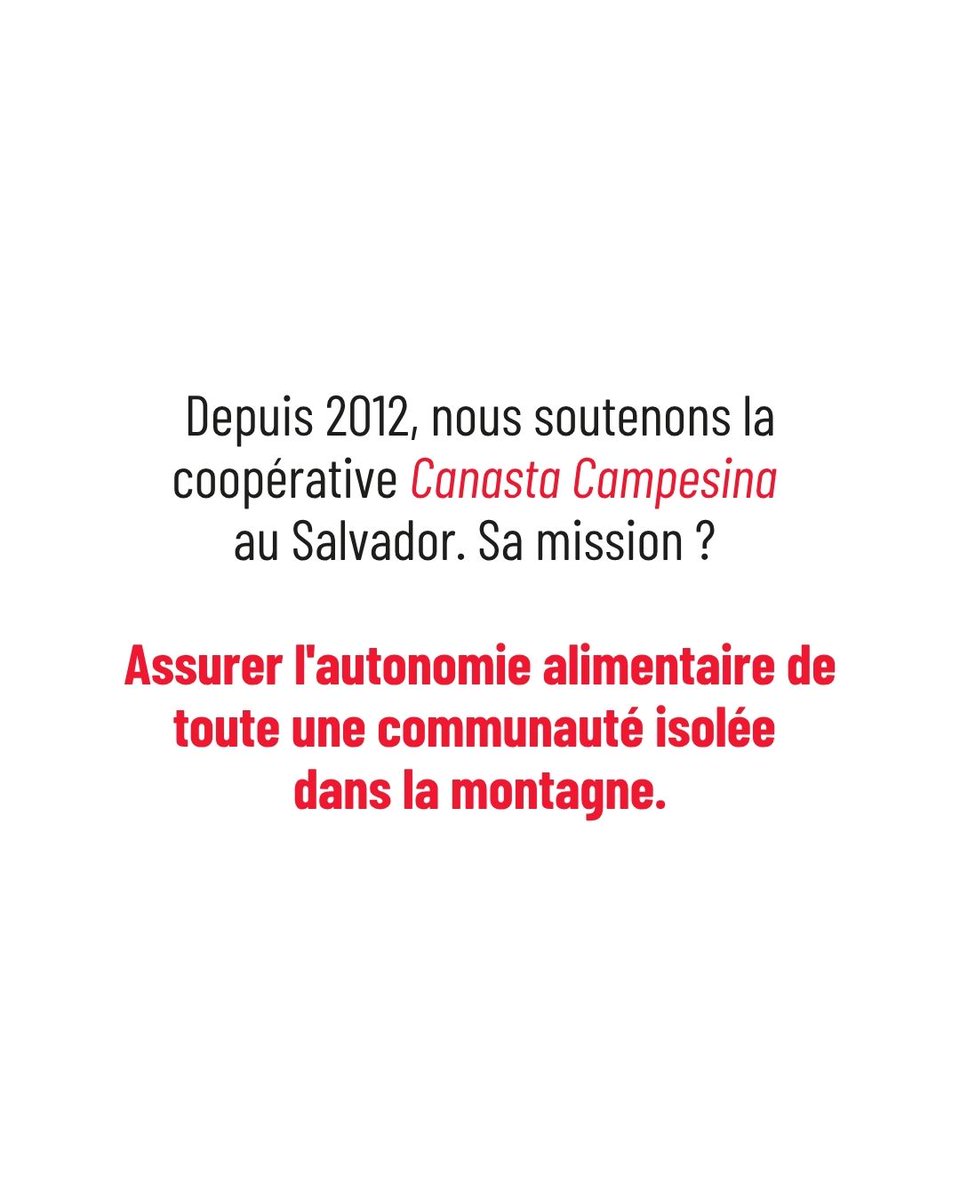 Secours populaire tweet media