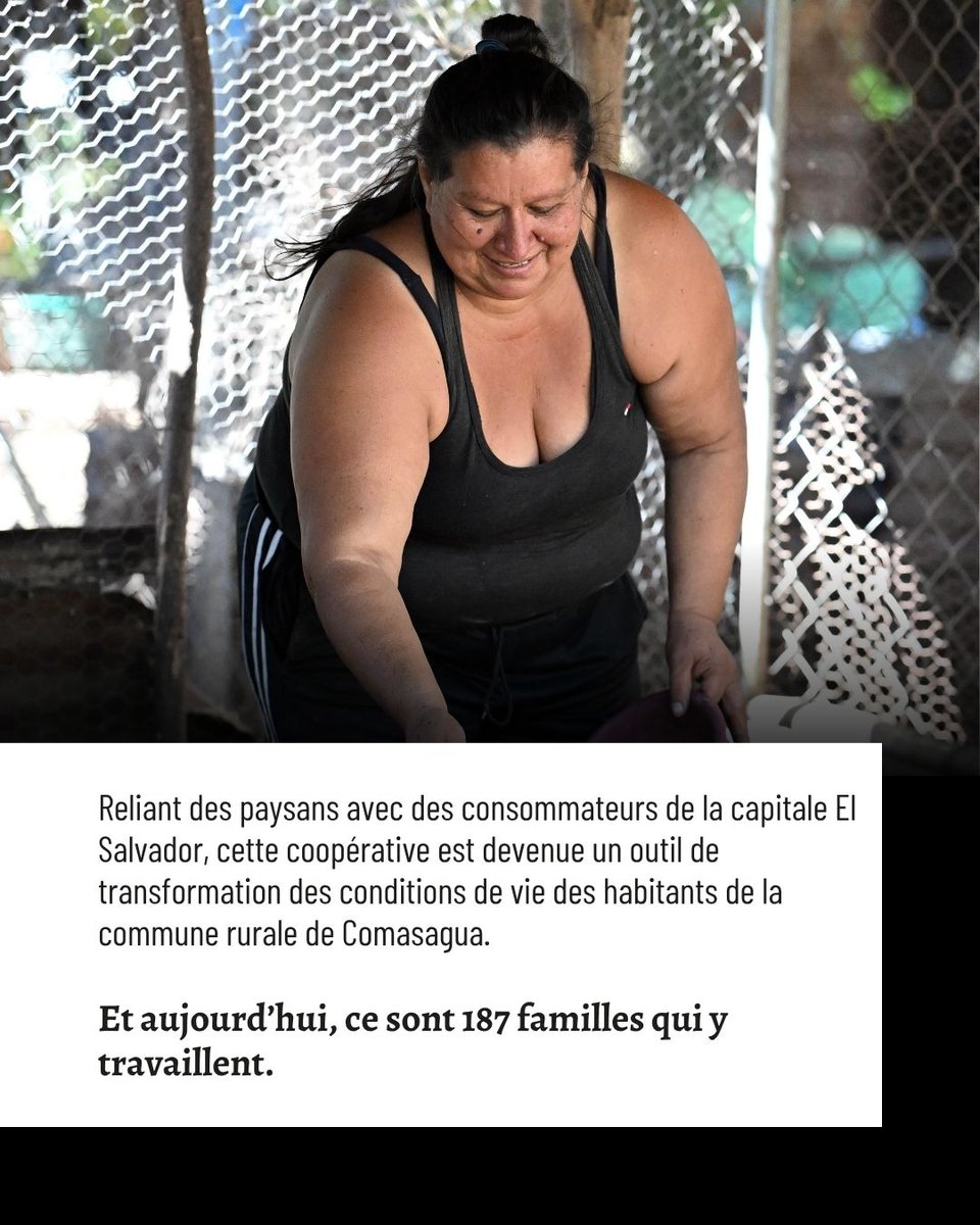 Secours populaire tweet media