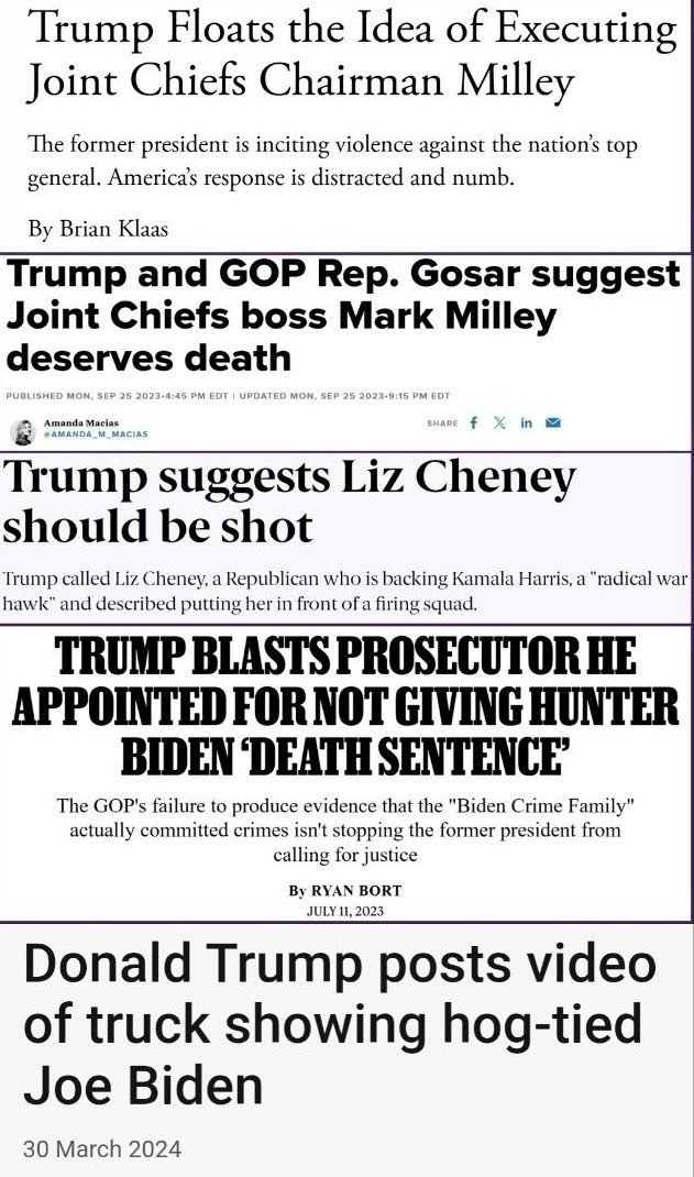 Mueller, She Wrote tweet media