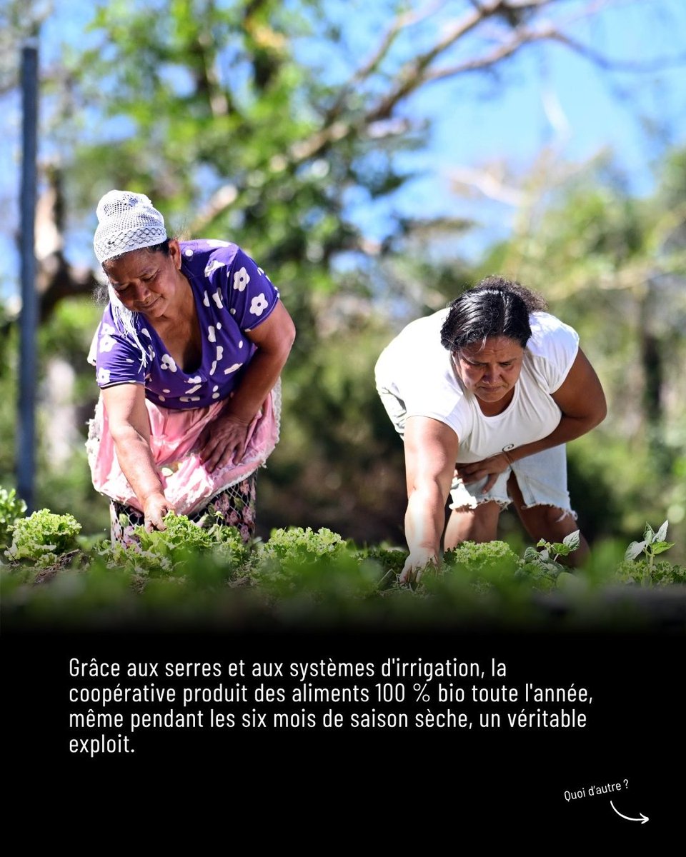 Secours populaire tweet media