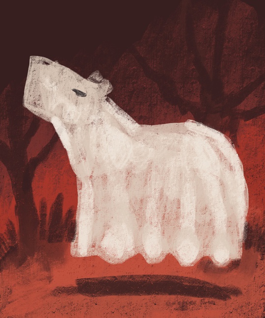 Guilherme Nunes tweet media