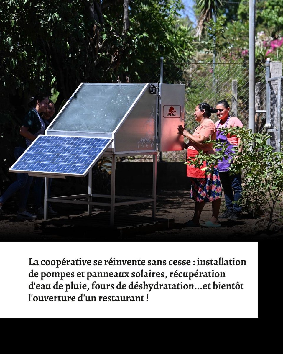 Secours populaire tweet media