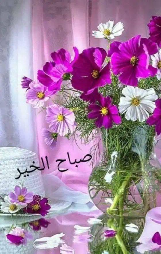 عيون المها 🇮🇶 tweet media