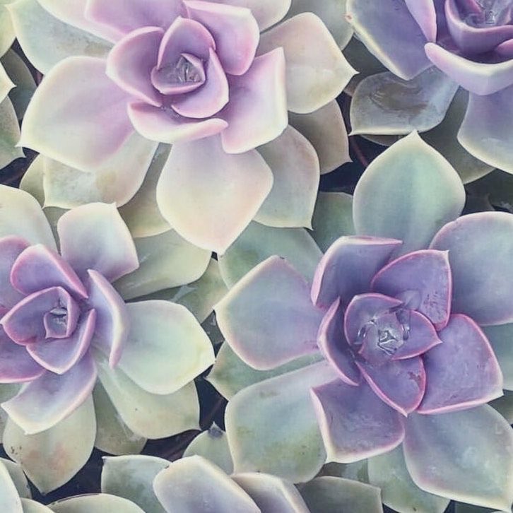 gl1tchp4wz's tweet image. ﹉﹉﹉﹉﹉˗ˏˋ𐂯ˎˊ˗﹉﹉﹉﹉﹉
#promotwt #moothunt day 21
           milo       14        isfp
         agender        he / they
  multistan &amp;amp; multifandom &amp;lt;3
         🏳️‍⚧️    no dni ifb     🇩🇪
       ♡  or  ↻ appreciated
 #shtwt    #shedtwt    #edtwt
#kpoptwt #genshin #stantwt