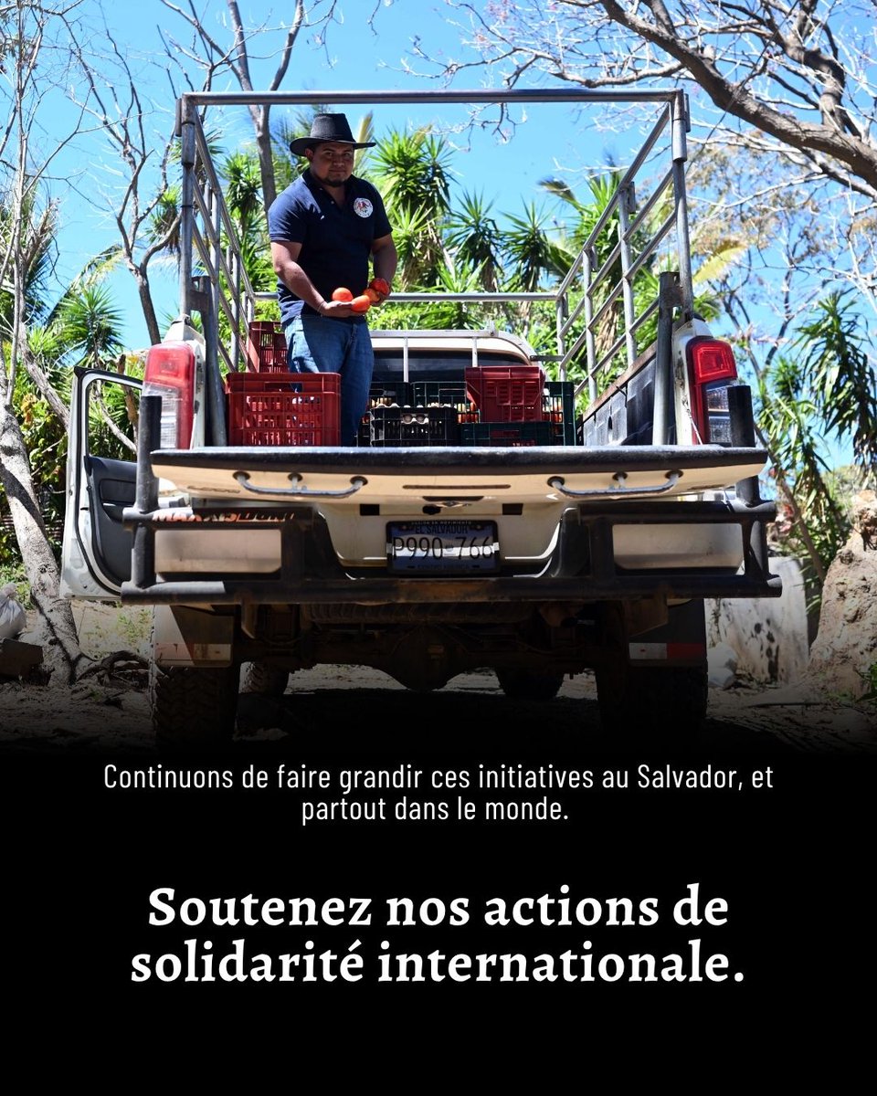 Secours populaire tweet media