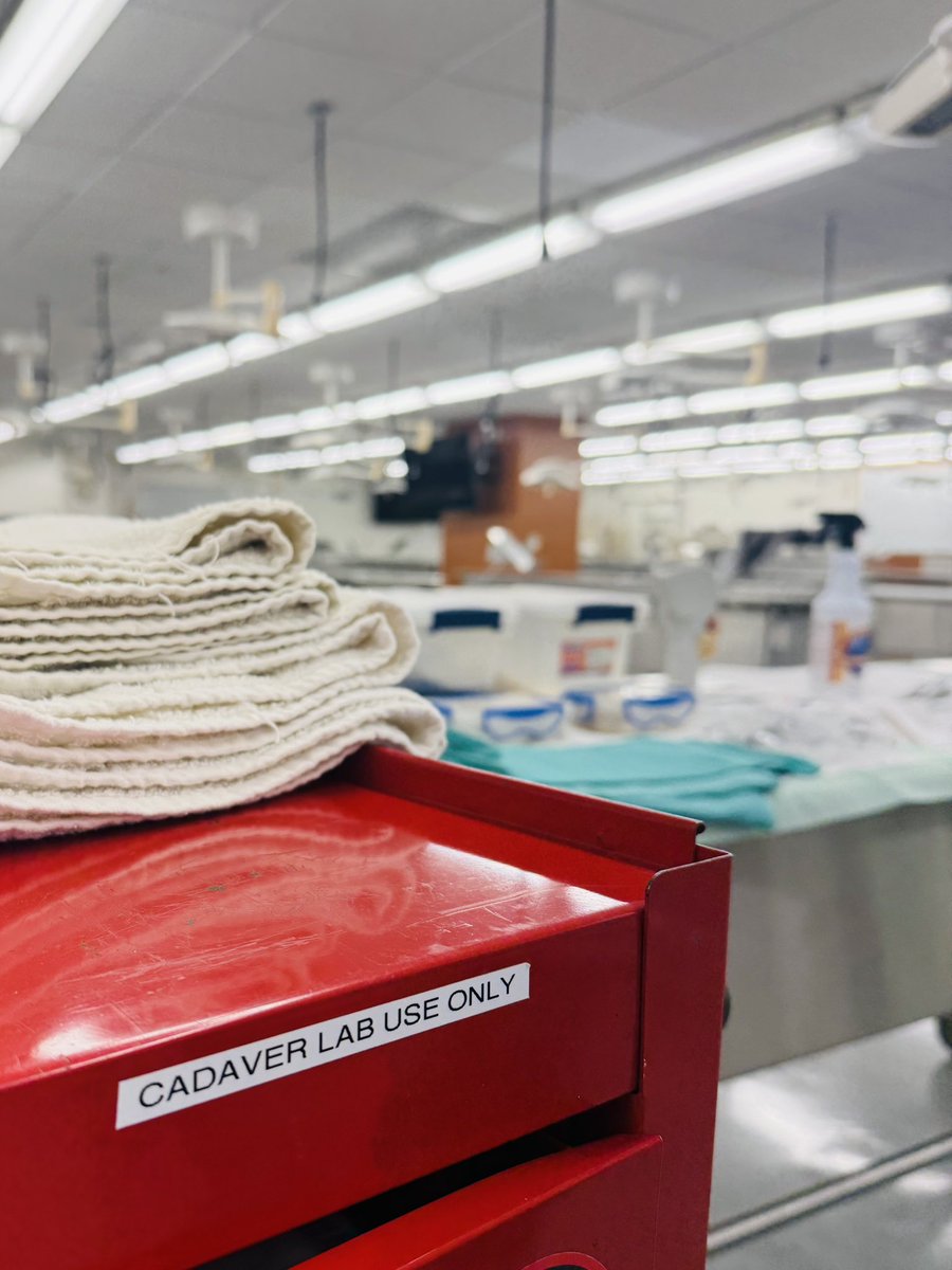 Arminius Secundus tweet media