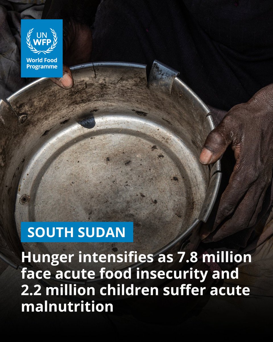 World Food Programme tweet media