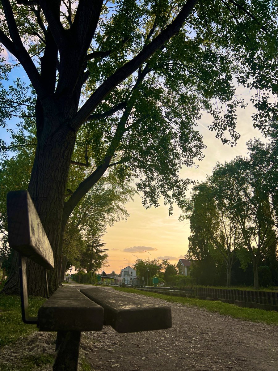 مصطفى 📸 tweet media