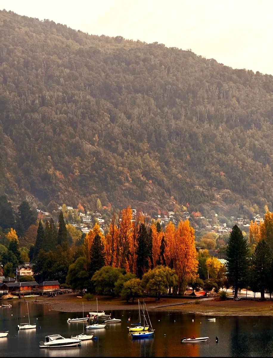 Lili Sur tweet media