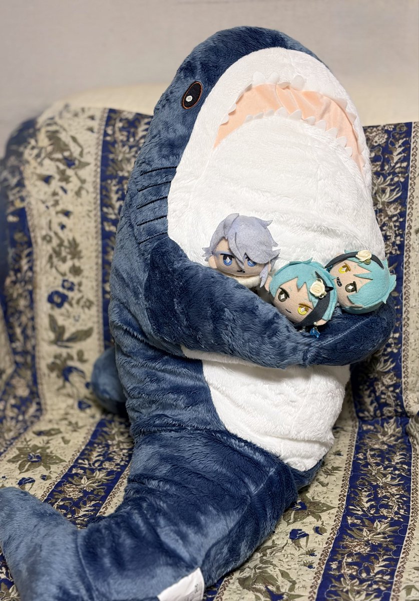 ぽんで🐠 tweet media