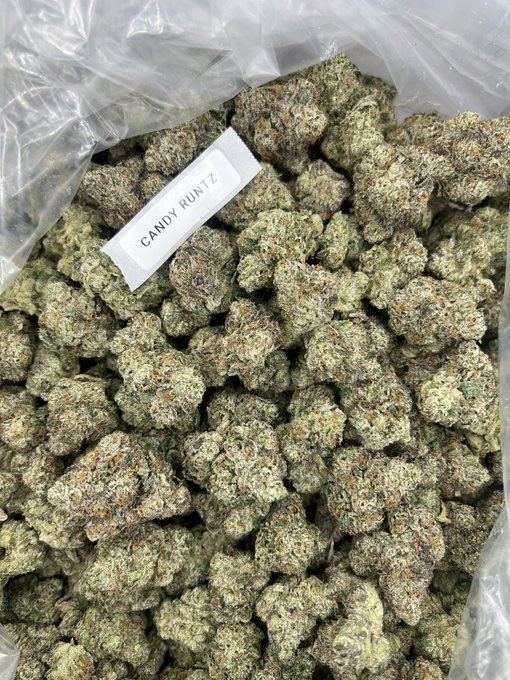 gblissbud2's tweet image. Blazing weed Mary Jane weed fire Montana sun ☀️🏔️ plug weed kush lovers in Billings and Bozeman whats the move? 🌿🔥⛽ #Dank #MontanaWeed #Billings #Bozeman