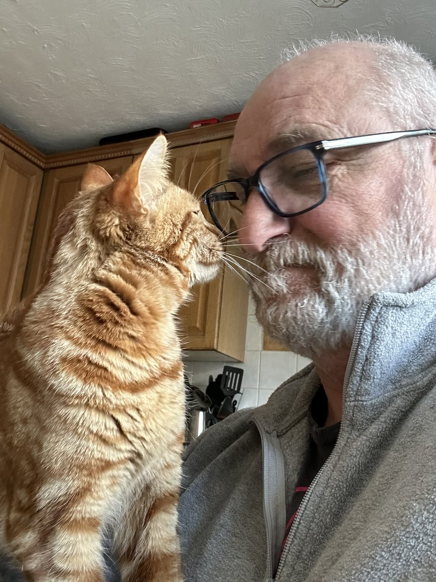 D.V. Catt tweet media