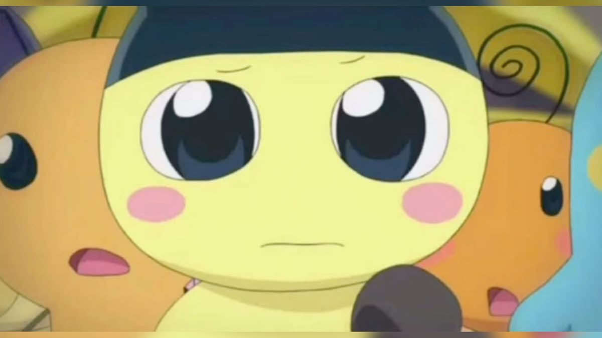 ☁️🐈 tweet media