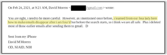 zerohedge tweet media